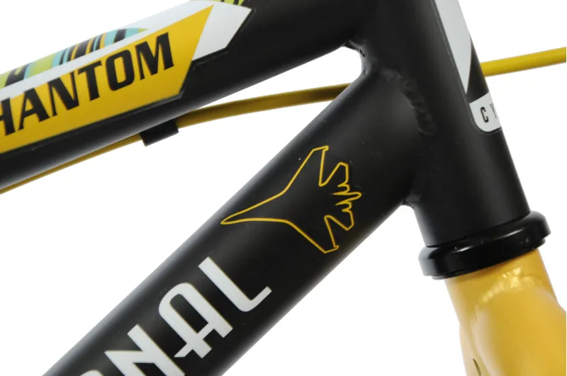 Professional Phantom 16 Inch Wheel Kids Bike Black-4